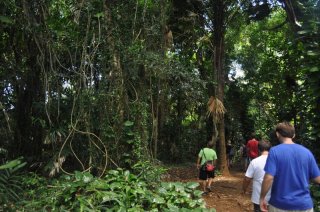 1-maunawili-falls-hike