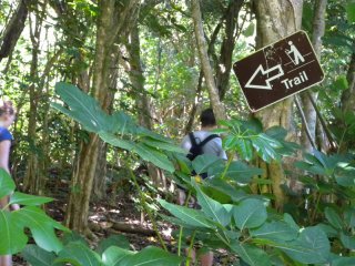 2b-kapaeleele-koa-trail